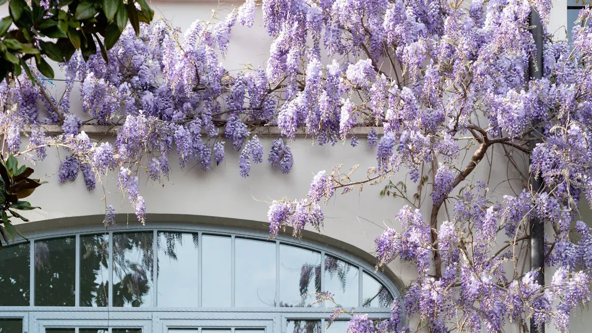 push out french casement windows